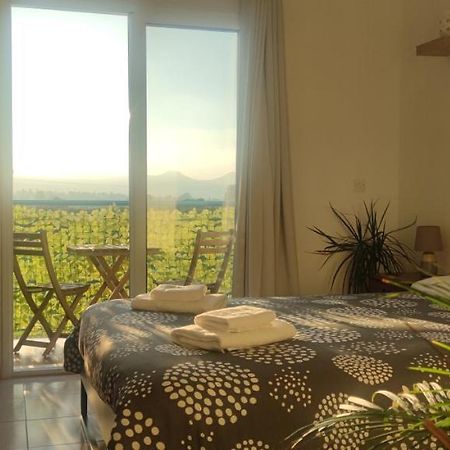 Thalassa Seaside Boutique Beach Apartment Polis 外观 照片