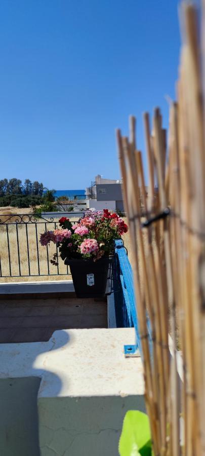 Thalassa Seaside Boutique Beach Apartment Polis 外观 照片