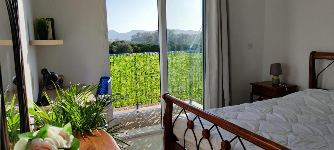 Thalassa Seaside Boutique Beach Apartment Polis 外观 照片