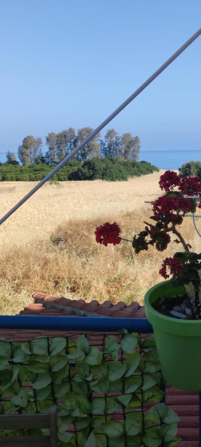 Thalassa Seaside Boutique Beach Apartment Polis 外观 照片