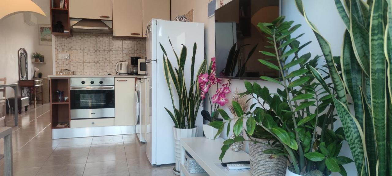 Thalassa Seaside Boutique Beach Apartment Polis 外观 照片