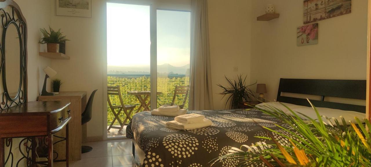Thalassa Seaside Boutique Beach Apartment Polis 外观 照片