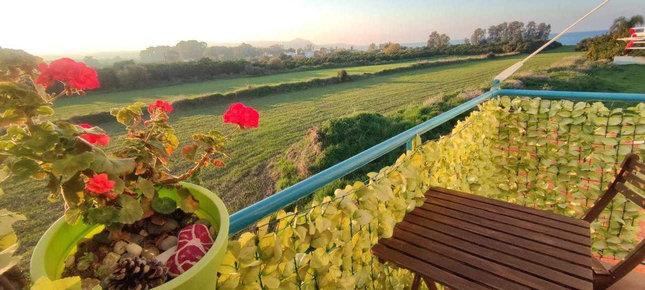 Thalassa Seaside Boutique Beach Apartment Polis 外观 照片
