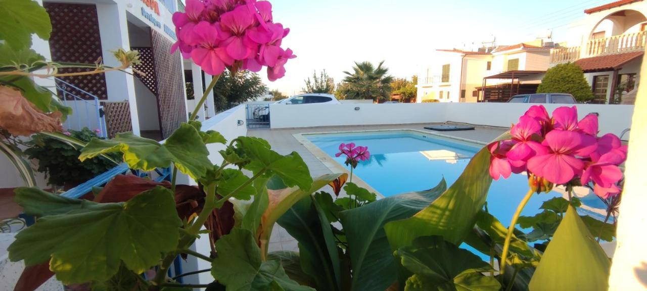 Thalassa Seaside Boutique Beach Apartment Polis 外观 照片